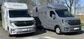 Renault Master Paardenwagen / Horsetruck / Veewagen T35 2.0 dCi 1 Wit - thumbnail 23