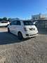 Fiat 500 1.3 16v Multijet 70kW (95CV) S&S S Blanco - thumbnail 3