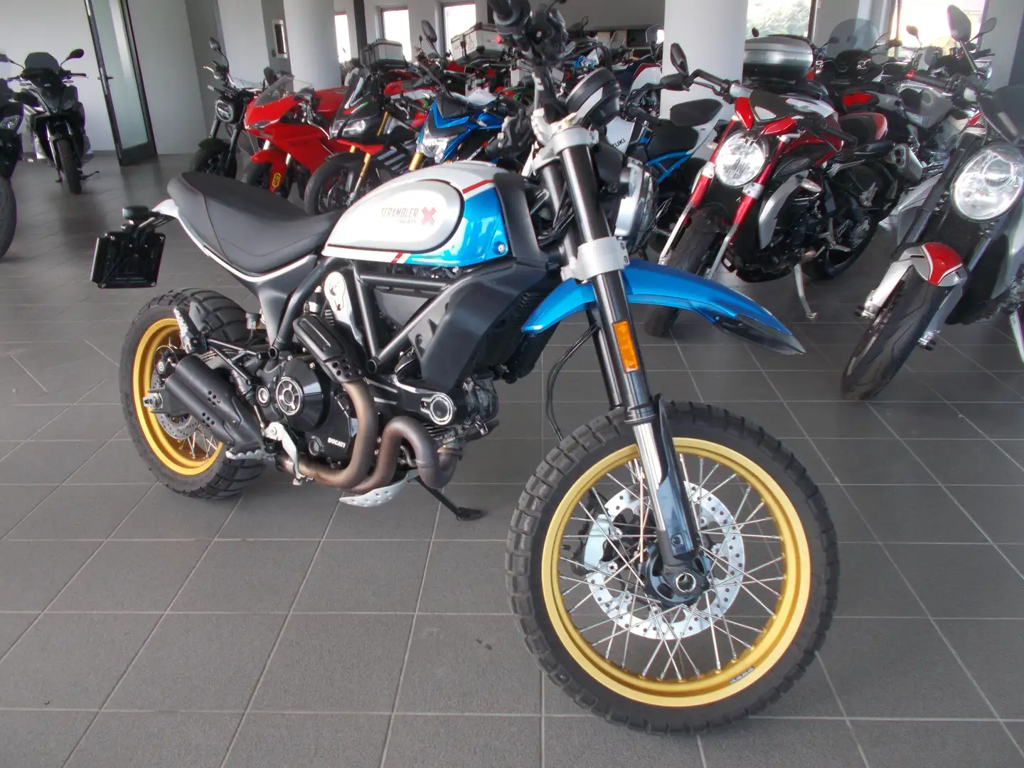 Ducati Scrambler 800 DESERT SLED 2021 Blu/Azzurro - 1