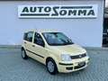 Fiat Panda 1.1 Actual eco  OK PER NEOPATENTATI Jaune - thumbnail 1