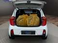 Kia Picanto 1.2 Spirit AUTOMATIK°BLUETOOTH°KLIMA Weiß - thumbnail 9
