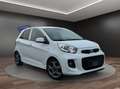 Kia Picanto 1.2 Spirit AUTOMATIK°BLUETOOTH°KLIMA Weiß - thumbnail 3