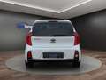 Kia Picanto 1.2 Spirit AUTOMATIK°BLUETOOTH°KLIMA Weiß - thumbnail 5
