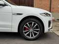 Jaguar F-Pace F-Pace 2.0 D 163 CV AWD aut. SE Weiß - thumbnail 3
