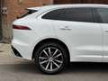 Jaguar F-Pace F-Pace 2.0 D 163 CV AWD aut. SE Weiß - thumbnail 4