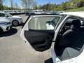 SEAT Ibiza Ibiza 1.0 EcoTSI - 95 Start\u0026Stop Style Tva Recuperable + Carplay + Radar AR Blanc - thumbnail 28