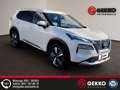 Nissan X-Trail Tekna Propilot Pack +360 Kamera+7-Sitzer+LED White - thumbnail 16
