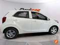 Kia Picanto 1.0 DPi Concept Blanco - thumbnail 9