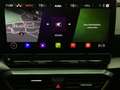 CUPRA Formentor VZ 2.0 TSI DSG LM19 BEATS KAMERA eKLAP Noir - thumbnail 13