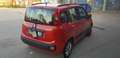 Fiat Panda 1.3 mjt 16v Lounge 85cv - thumbnail 2