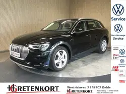 Audi e-tron advanced e tron 50 quattro Leder Kamera v