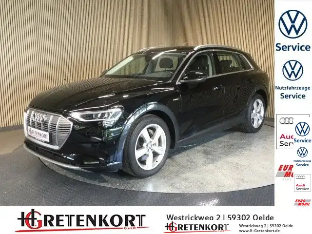 Audi e-tron advanced e tron 50 quattro Leder Kamera v