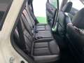 Nissan X-Trail Nissan X-Trail 1.6 dCi 4WD Tekna Blanc - thumbnail 12