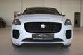 Jaguar E-Pace 2.0I4 P250 First Edition AWD Aut. **Tolle Ausst... Weiß - thumbnail 2