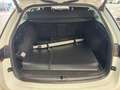 Skoda Octavia 1.5 TSI Combi *SHZ*PAN*NAV*LED*ACC*HuD* Weiß - thumbnail 19