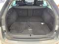 Skoda Octavia Ambition Grau - thumbnail 32