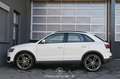 Audi Q3 2.0 TDI quattro Pickerl NEU Blanco - thumbnail 6