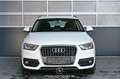 Audi Q3 2.0 TDI quattro Pickerl NEU Blanco - thumbnail 3