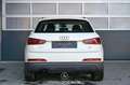 Audi Q3 2.0 TDI quattro Pickerl NEU Blanco - thumbnail 4