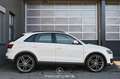 Audi Q3 2.0 TDI quattro Pickerl NEU Blanco - thumbnail 5