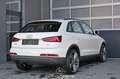 Audi Q3 2.0 TDI quattro Pickerl NEU Blanco - thumbnail 2