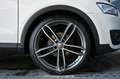 Audi Q3 2.0 TDI quattro Pickerl NEU Blanco - thumbnail 7