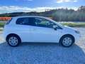 Fiat Punto 3 Porte 1.2  Pop Weiß - thumbnail 9