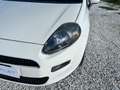 Fiat Punto 3 Porte 1.2  Pop Weiß - thumbnail 5