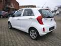Kia Picanto Edition 7 Klima TGF ZV ABS 4 el.Fh Weiß - thumbnail 4