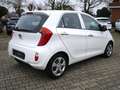 Kia Picanto Edition 7 Klima TGF ZV ABS 4 el.Fh Weiß - thumbnail 5