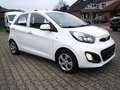 Kia Picanto Edition 7 Klima TGF ZV ABS 4 el.Fh Weiß - thumbnail 7