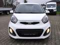 Kia Picanto Edition 7 Klima TGF ZV ABS 4 el.Fh Weiß - thumbnail 1