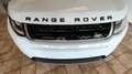 Land Rover Range Rover Evoque 2.0 TD4 150 CV R-DYNAMIC Blanc - thumbnail 7