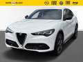 Alfa Romeo Stelvio 2.0 Ti MY23 Assistenz-Paket PremiumPaket Bianco - thumbnail 1