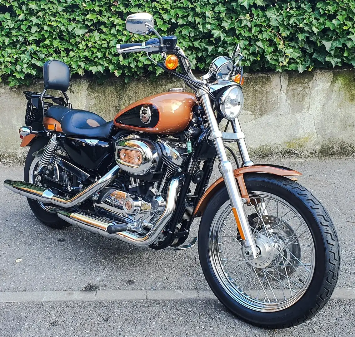 Harley-Davidson Sportster 1200 XL 1200 Hnědá - 1