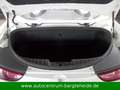 Alfa Romeo Spider 2.4 JTD 20V Exclusive Aut. 2.HD.+LEDER Weiß - thumbnail 13