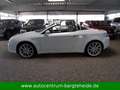 Alfa Romeo Spider 2.4 JTD 20V Exclusive Aut. 2.HD.+LEDER Weiß - thumbnail 10