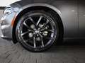 Dodge Charger 3.6 SXT/SHZ/KAMERA/BTH/MFL/AMBIE/R20 Серый - thumbnail 4