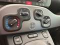 Fiat Panda 1.0 70cv S&S Hybrid E6d-T City Cross Grijs - thumbnail 20