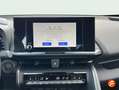 Toyota C-HR 2.0 GR Sport AWD-i Hybrid 200 Gris - thumbnail 7