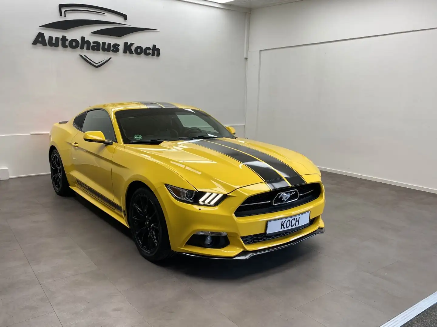 Ford Mustang MUSTANG 2.3 ECOBOOST - 50 YEARS MIT SHELBY LOOK! Jaune - 1