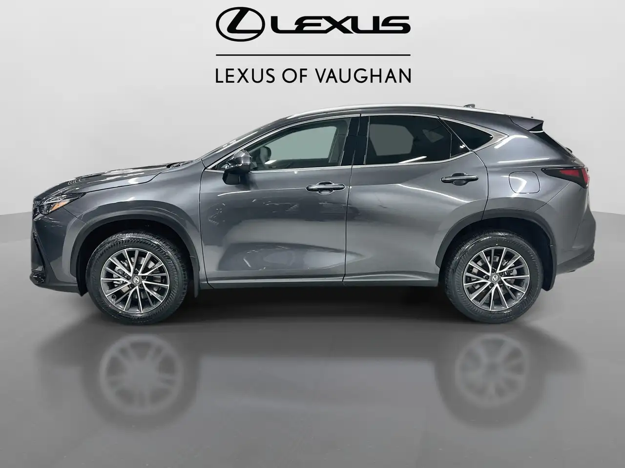 Lexus NX fotografie Lexus NX