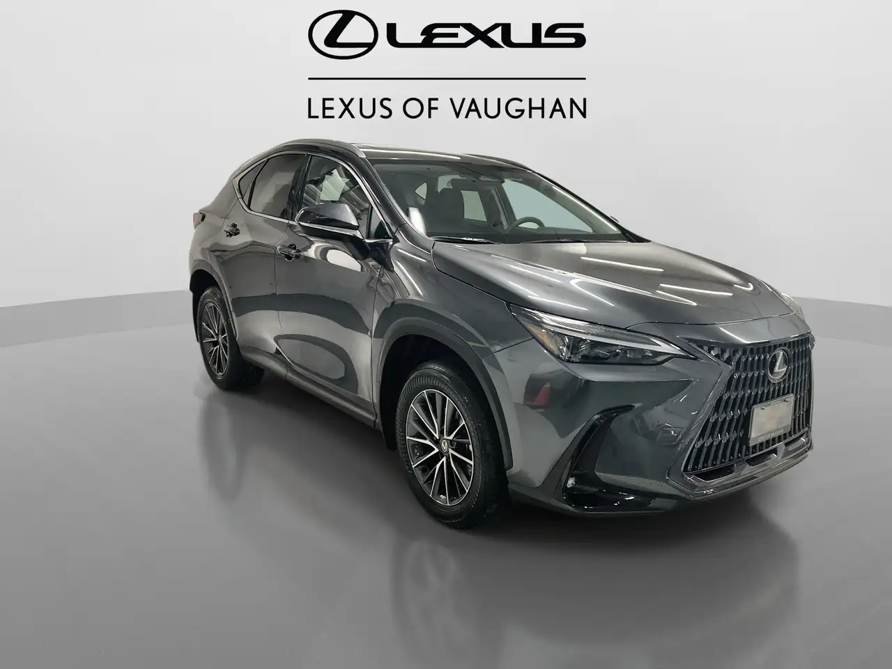 Lexus NX fotografie Lexus NX
