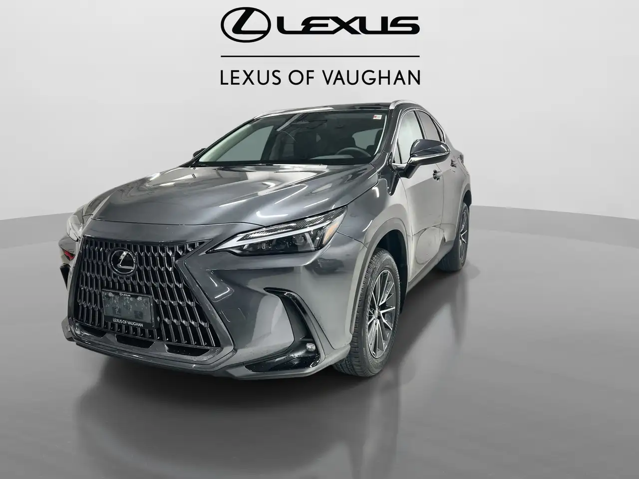 Lexus NX fotografie Lexus NX