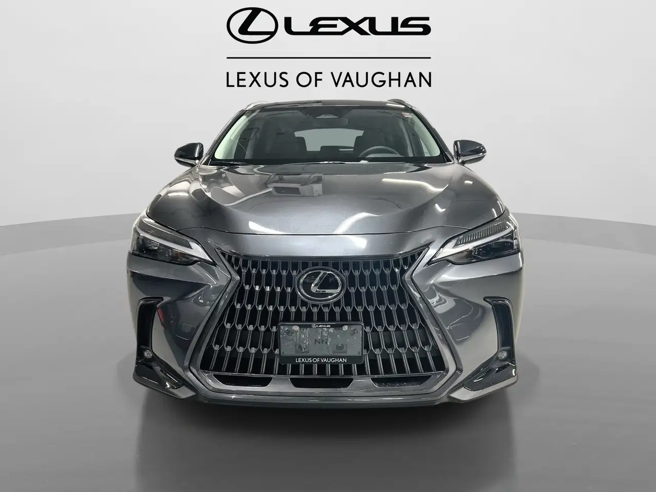 Lexus NX fotografie Lexus NX