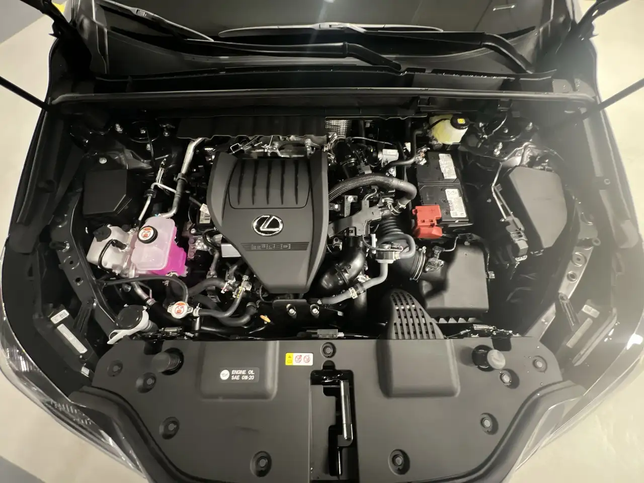 Lexus NX fotografie Lexus NX