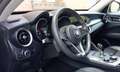 Alfa Romeo Stelvio Stelvio 2.2 JTD Super Bronze - thumbnail 11