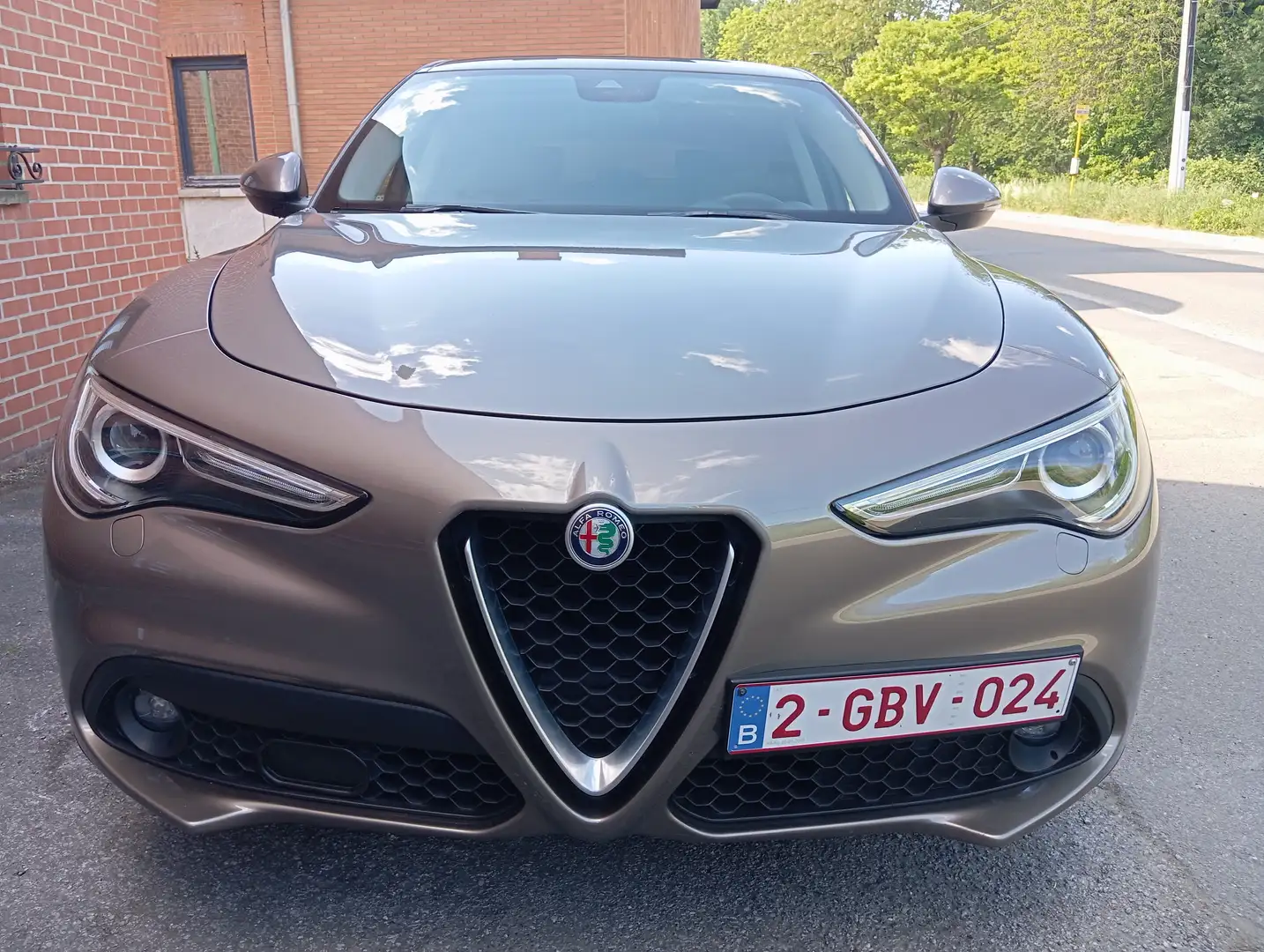 Alfa Romeo Stelvio Stelvio 2.2 JTD Super Bronze - 1
