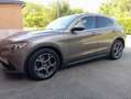 Alfa Romeo Stelvio Stelvio 2.2 JTD Super Bronze - thumbnail 12