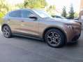 Alfa Romeo Stelvio Stelvio 2.2 JTD Super Bronze - thumbnail 6